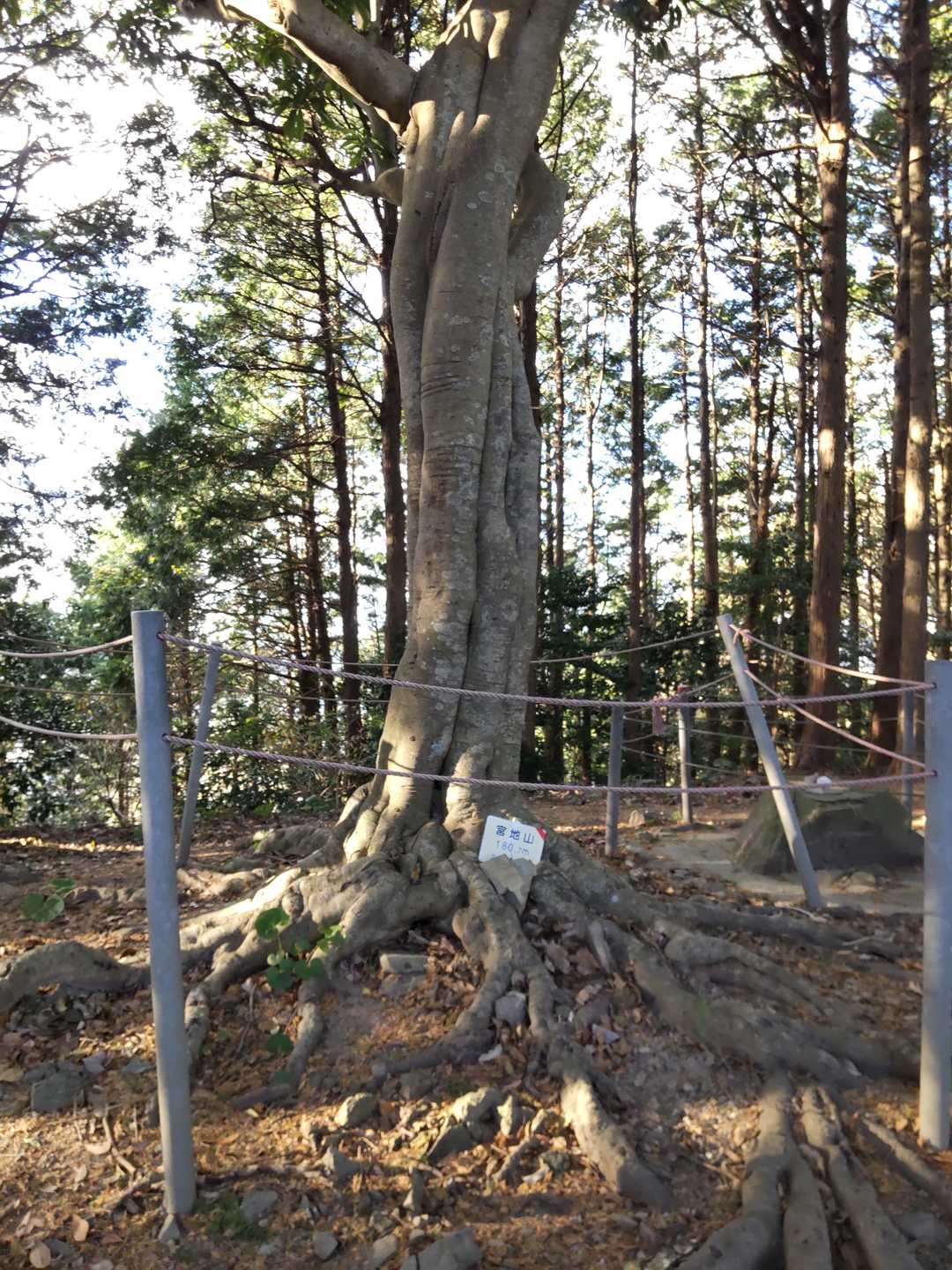 はじめて宮地山山頂も立ち寄りました