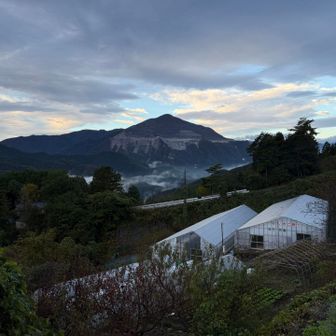 登山道へ入る前からすでに武甲山が見えました