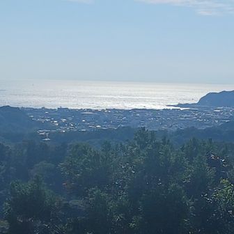 海も見える