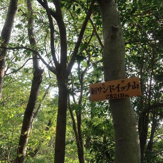 次は、新サンドイッチ山🥪
