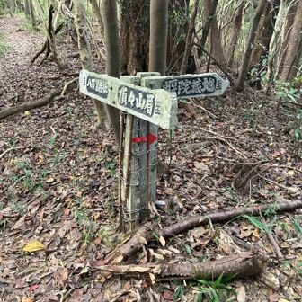 これが分かりにくい

眉山頂上は？正解は右でした　よく見たら赤い→