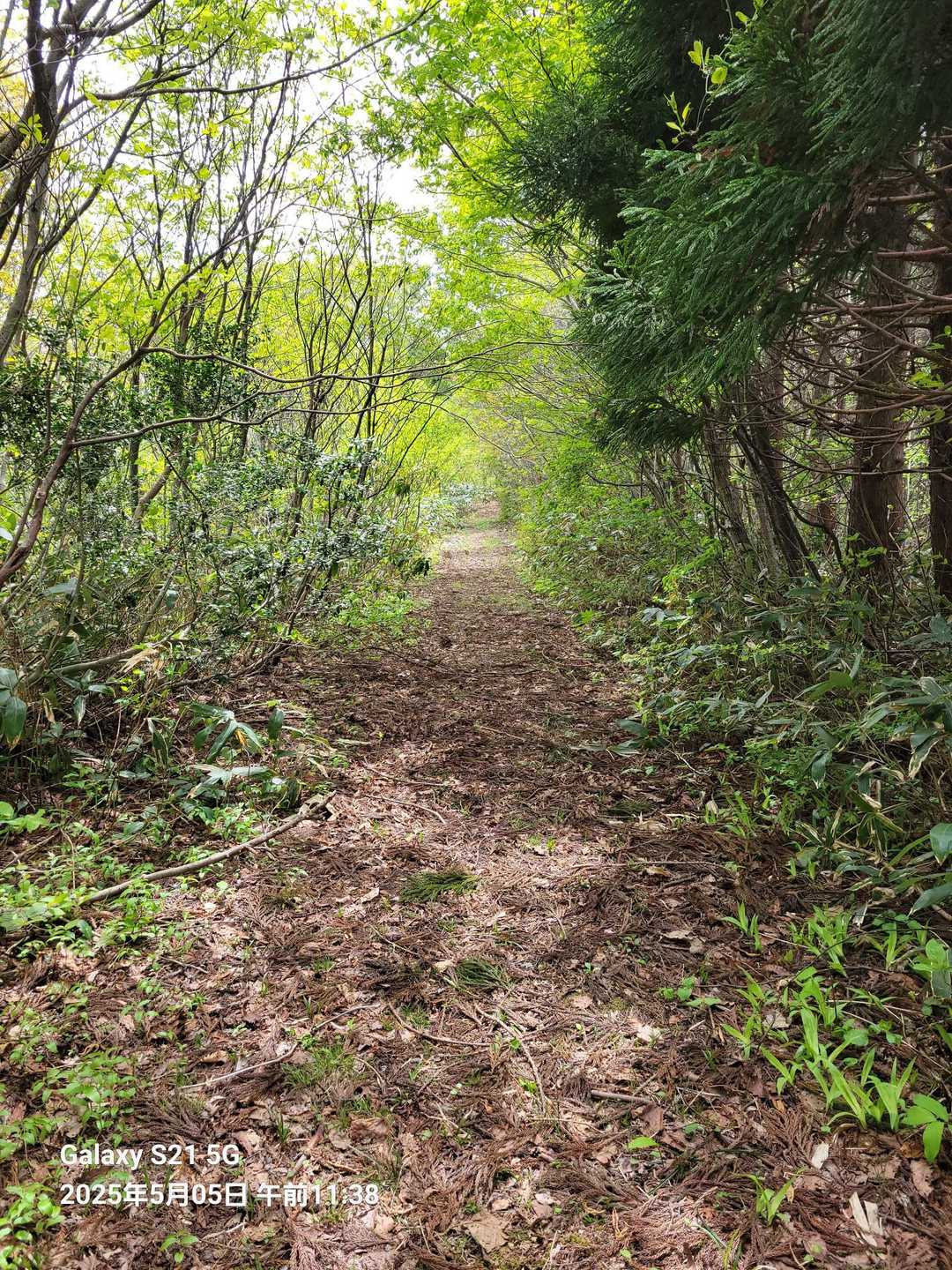熊野長峰-虚空蔵山 周回コースの写真