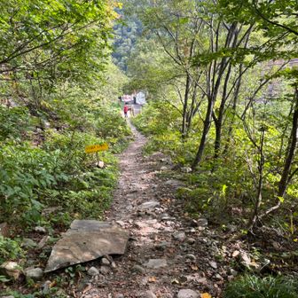 あの先が柏原新道のゴール。種池山荘から約2時間で下山。