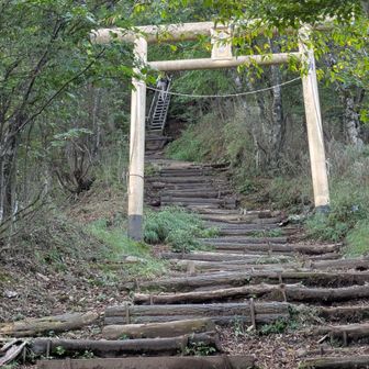 猪鼻神社鳥居⛩️から急登が始まります。十二支に因んだ梯子は、かつて鳥居の奥に見える子(ネズミ)から12本有りましたが、2019年の大雨で3本(丑・寅・卯)流されて、現在は9本です。