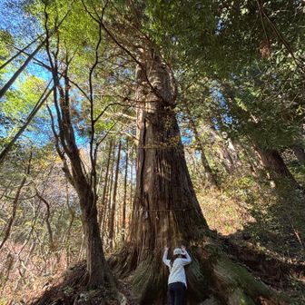 もっといただきます✨✨✨