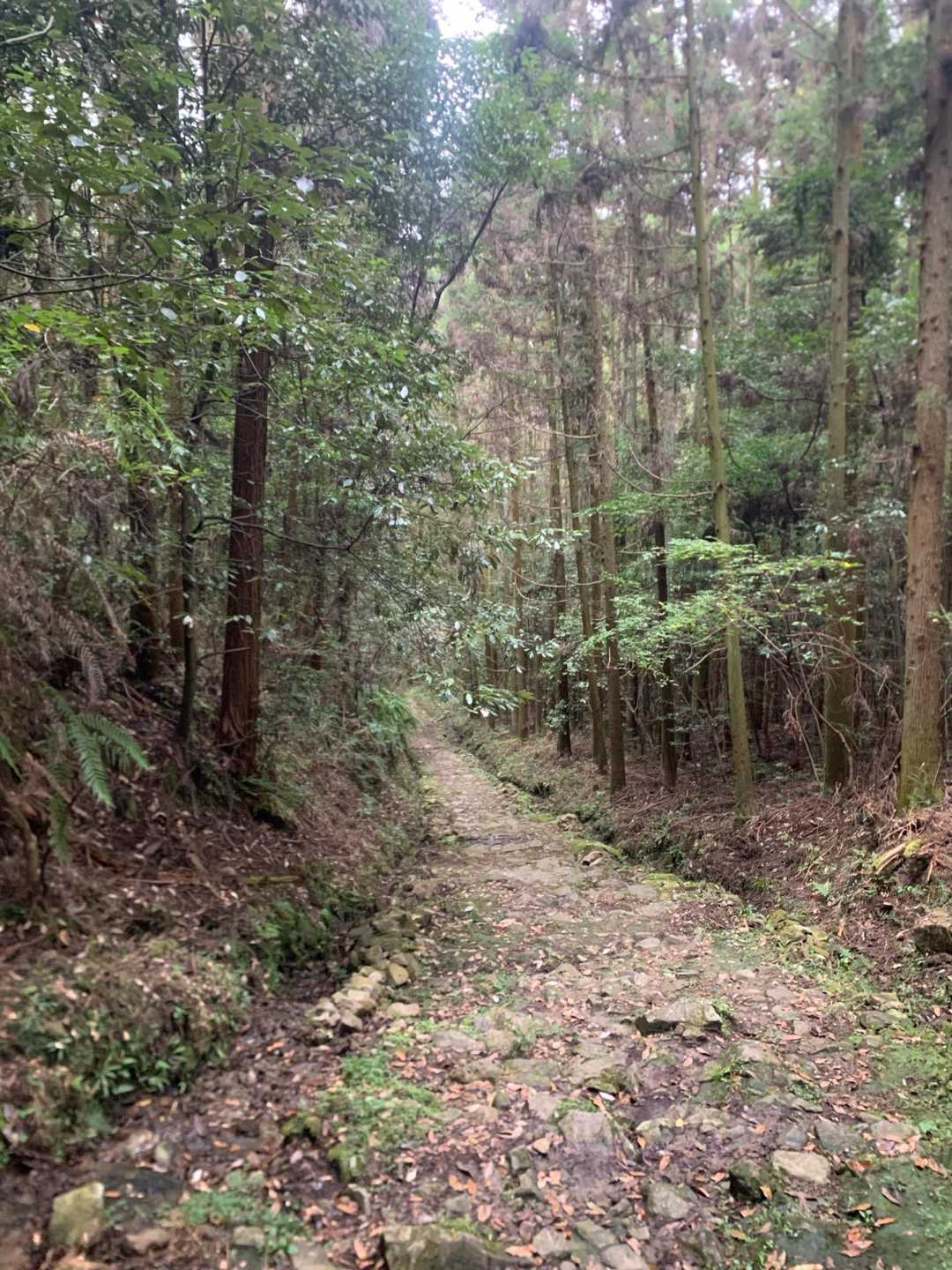 名古屋市内か🧐