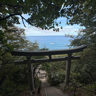 最初の階段登るだけでも達成感はあるよ。笑
次は乙部まで南下してシラフラ海岸へ