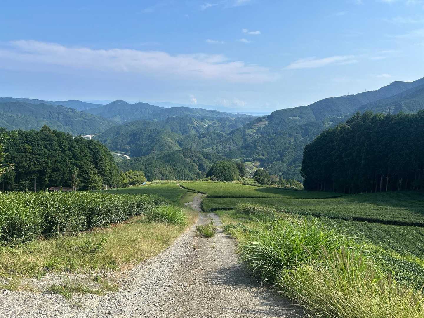 かなり急な斜面を登り切る🚶