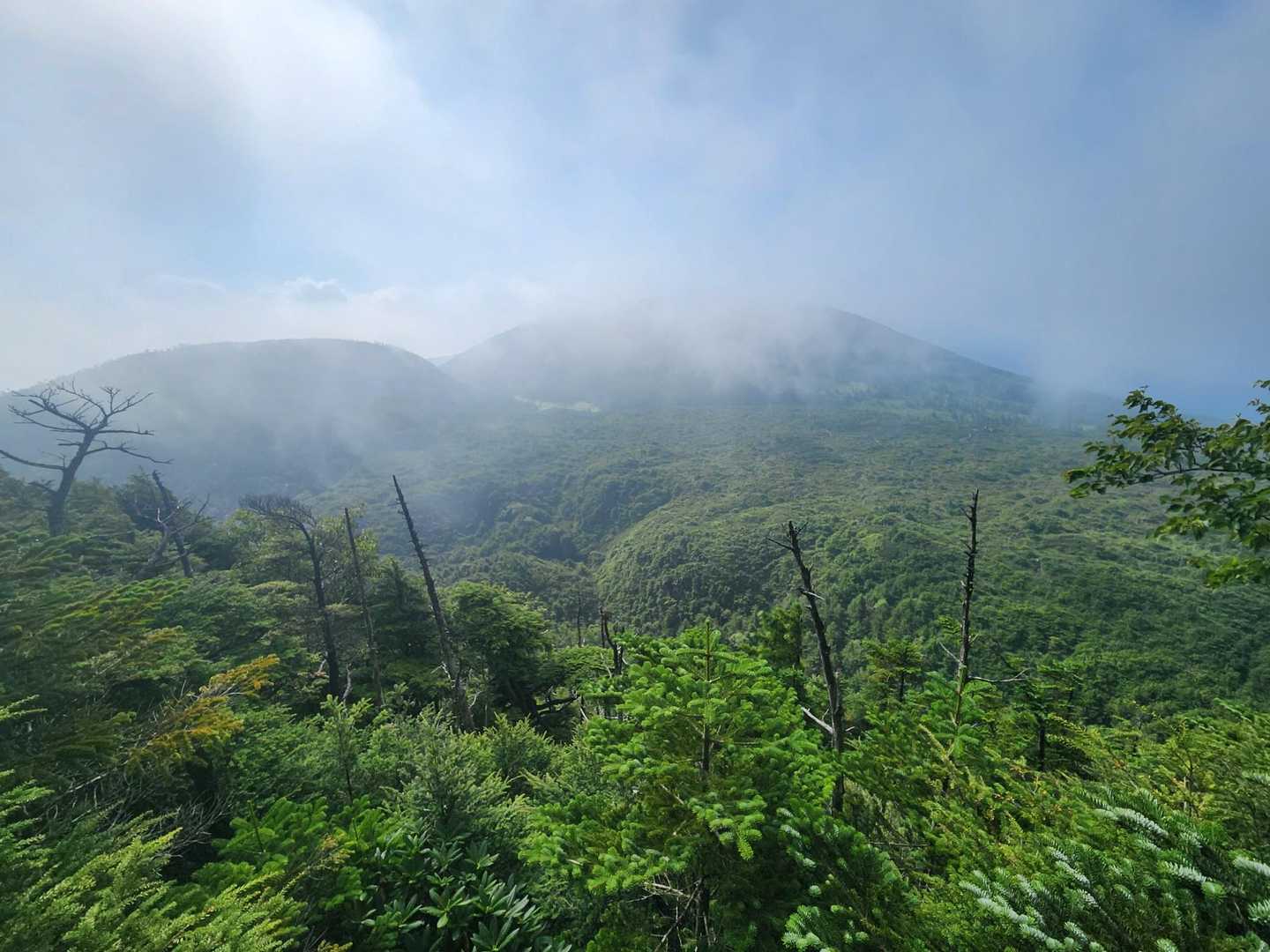 麦草峠-大石峠-中小場-縞枯山-雨池峠-北横岳-七ツ池-山 縦走コースの写真