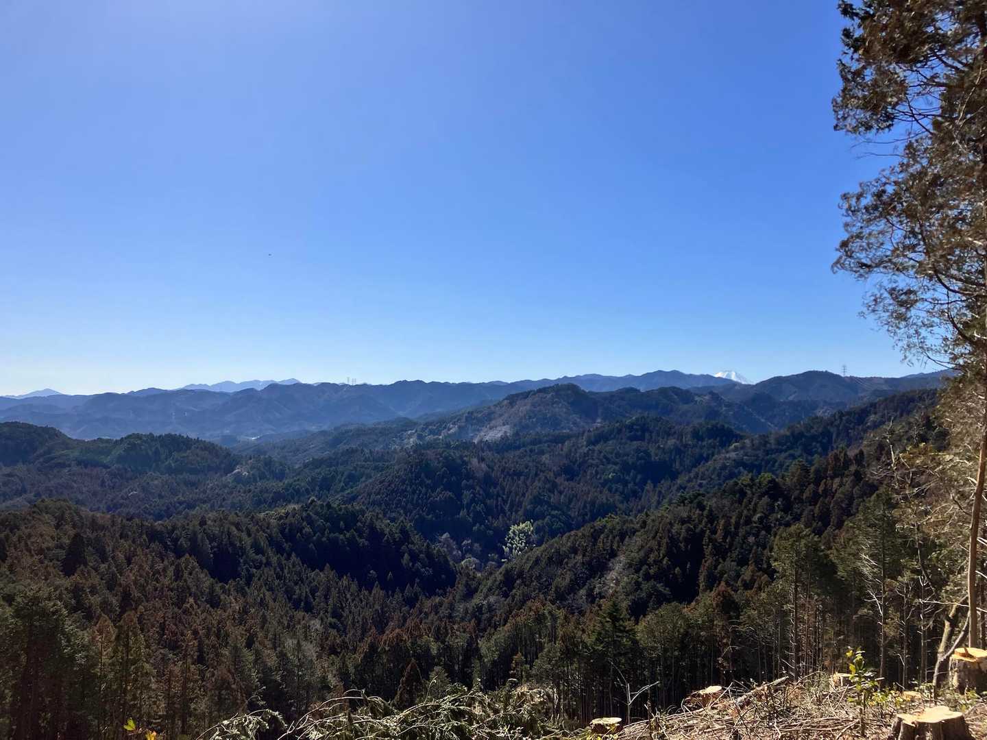 今まで見えなかった所で富士山🗻
ちょこと、やっぱり見えると
気分がいいよね！
丹沢の山並みも