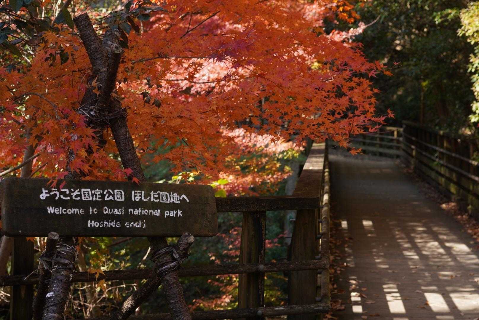ほしだ園地に着いた