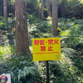 多分、以前はキャンプ場