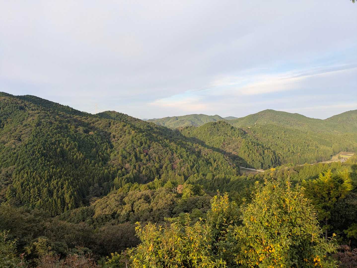 雨山登山口-雨山山-屋床峰-馬の背平-本宮山 周回コースの写真