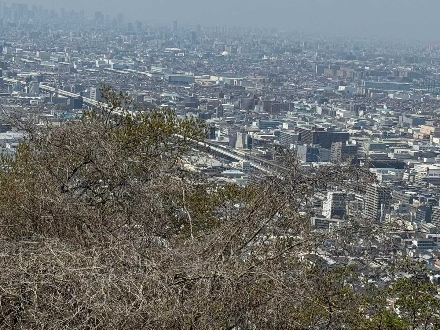 神津嶽ふれあい広場-ぼくらの広場 往復コースの写真