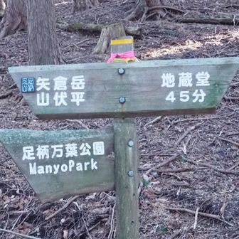 なんとか、ルートに復帰。
一安心。