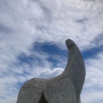 ボンクレー山猫