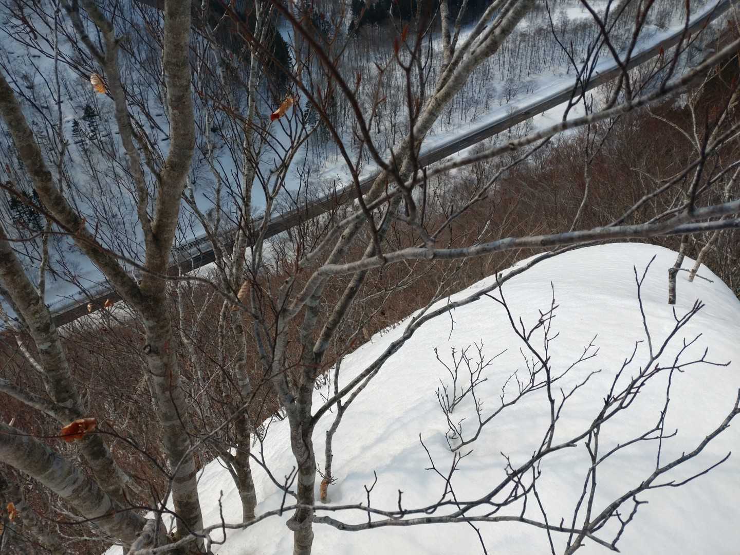 狭っ💦
怖っ💦