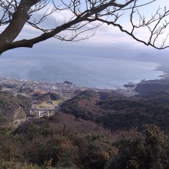 展望台からの別府湾👏