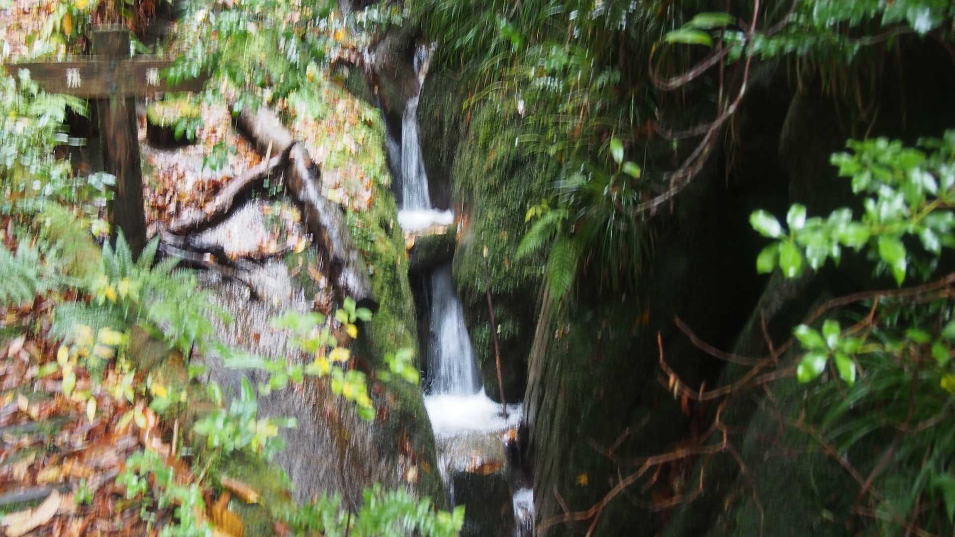 玉峰山 周回コースの写真