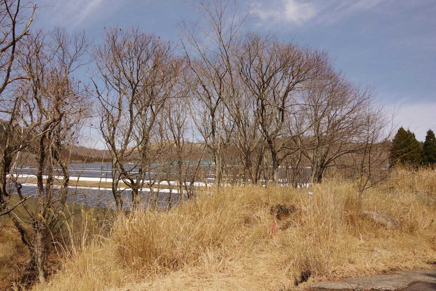 ソーラーパネルの横から取付きます🐾