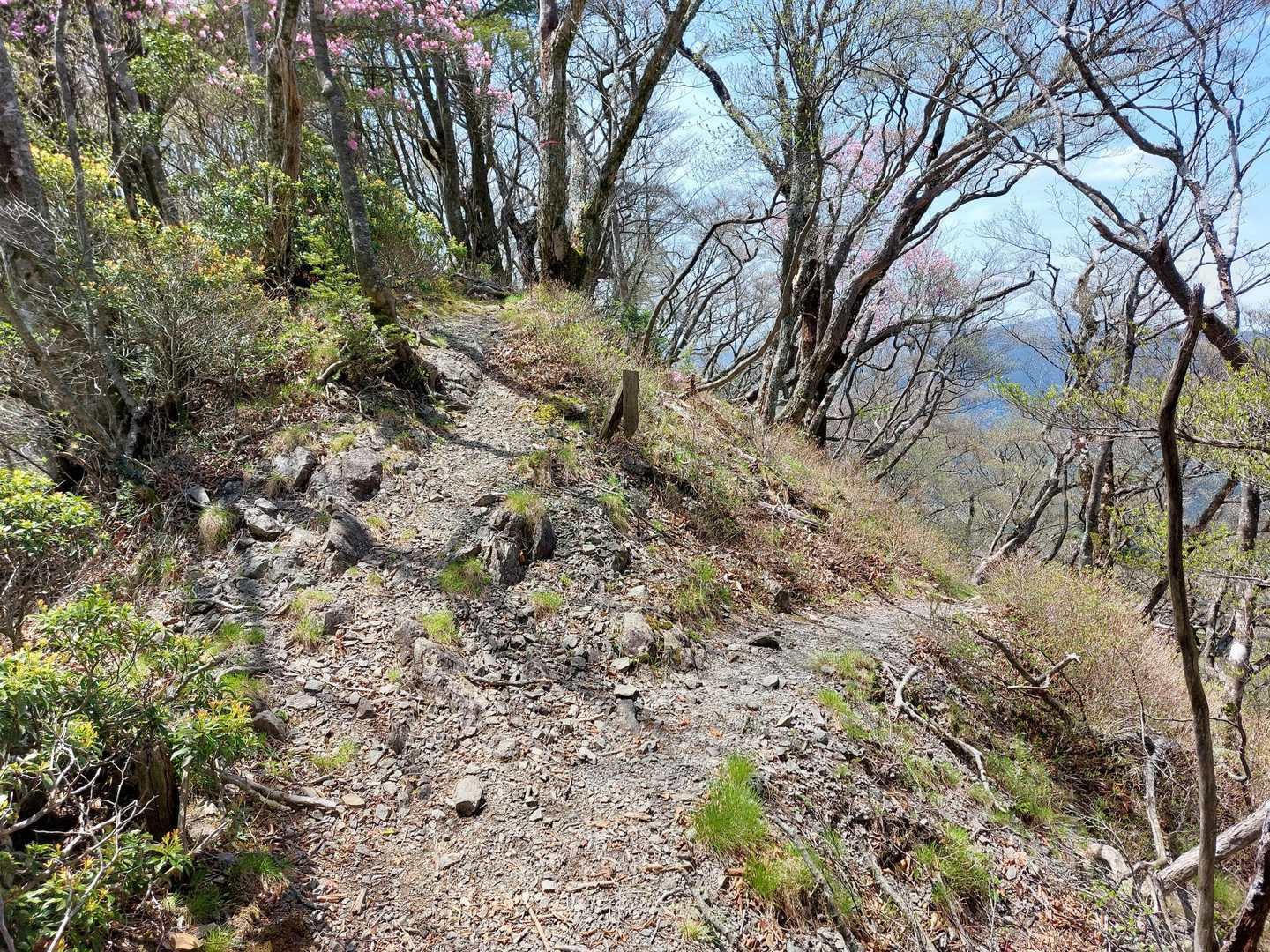 下山は荷小屋峠経由で。