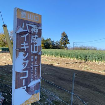 中学校の横のネギ畑が登山口