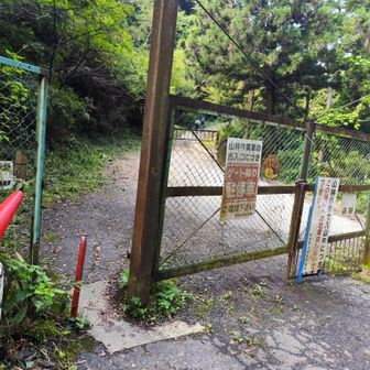 水越峠に戻ってきて今度は金剛山へ向かいます