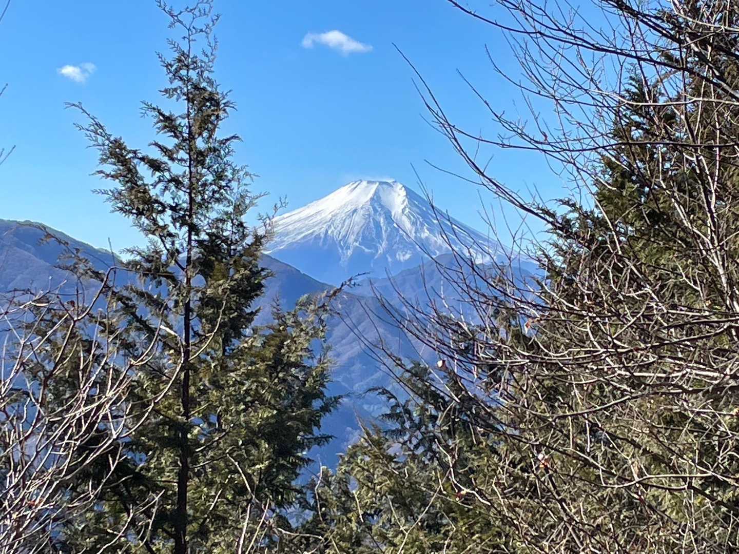 高畑山山頂からの眺め。富士山見ると元気出ます。
