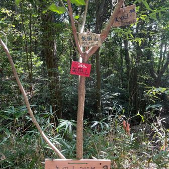 看板いっぱい。
340m派閥と343m派閥がある様です。