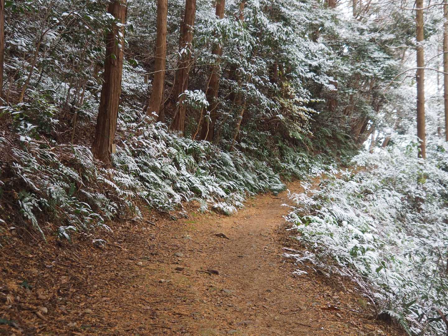こんな場所で雪が残るのは本当にレア景色