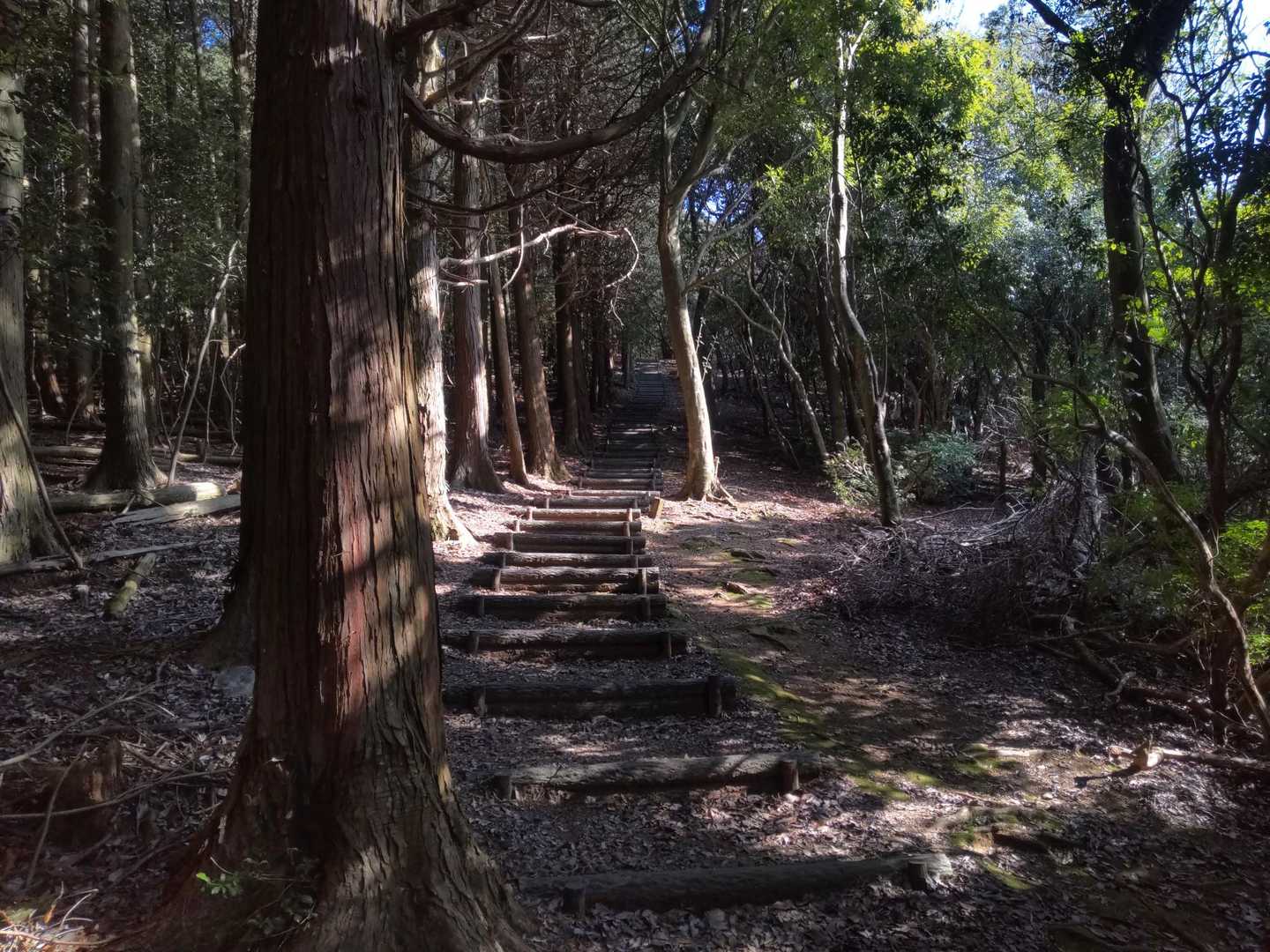 いつまで続く階段？
