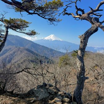 清八山です。