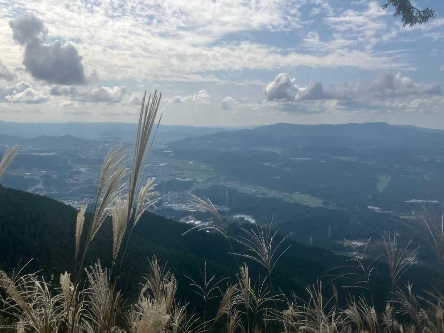 微風でも気持ちいい
