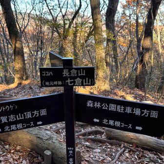 この後、天狗鳥屋山を行くはずが、ルートミスで駐車場直行🤦‍♂️