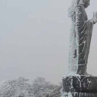 釈迦ヶ岳山頂に来ましたが
ガッスガス