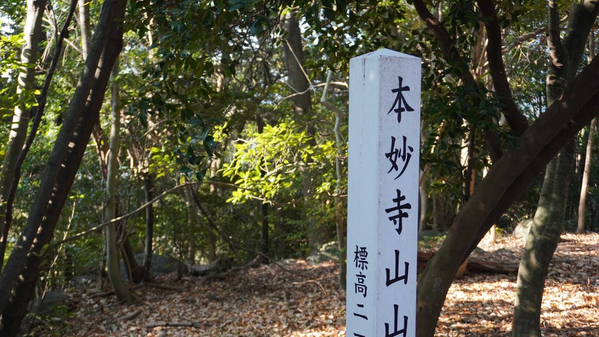 お迎えの時間が迫る
清正公さんは熊本城で