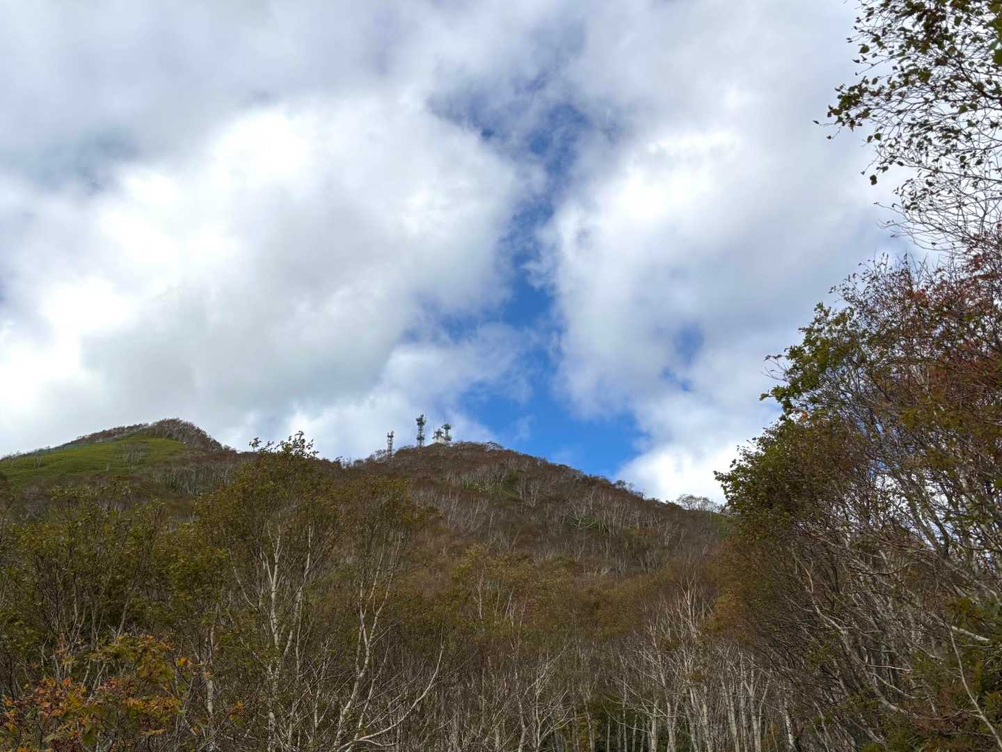 紋別岳 往復 | 低山とは思えない開放感、稜線の笹原を楽しむコースの写真