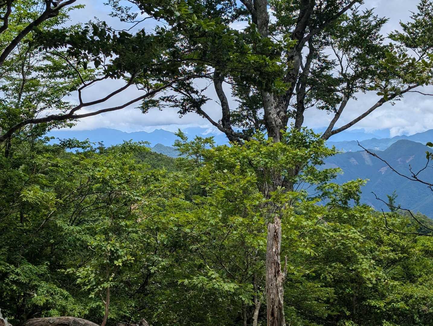 小川岳 往復コースの写真