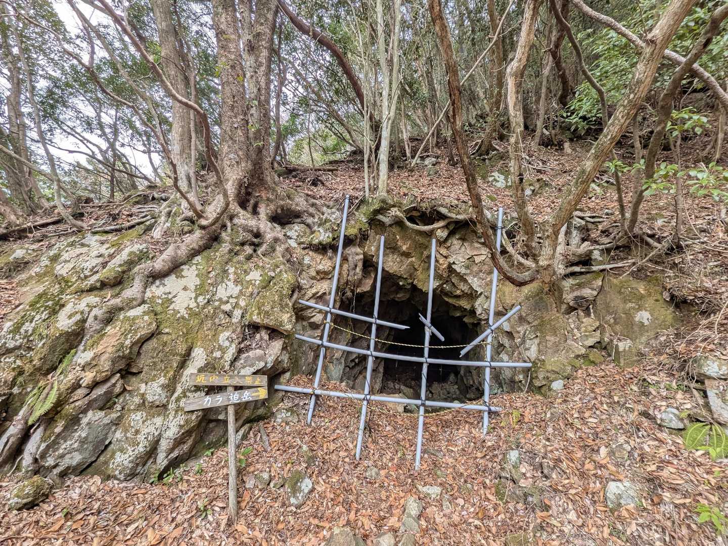 金山抗跡