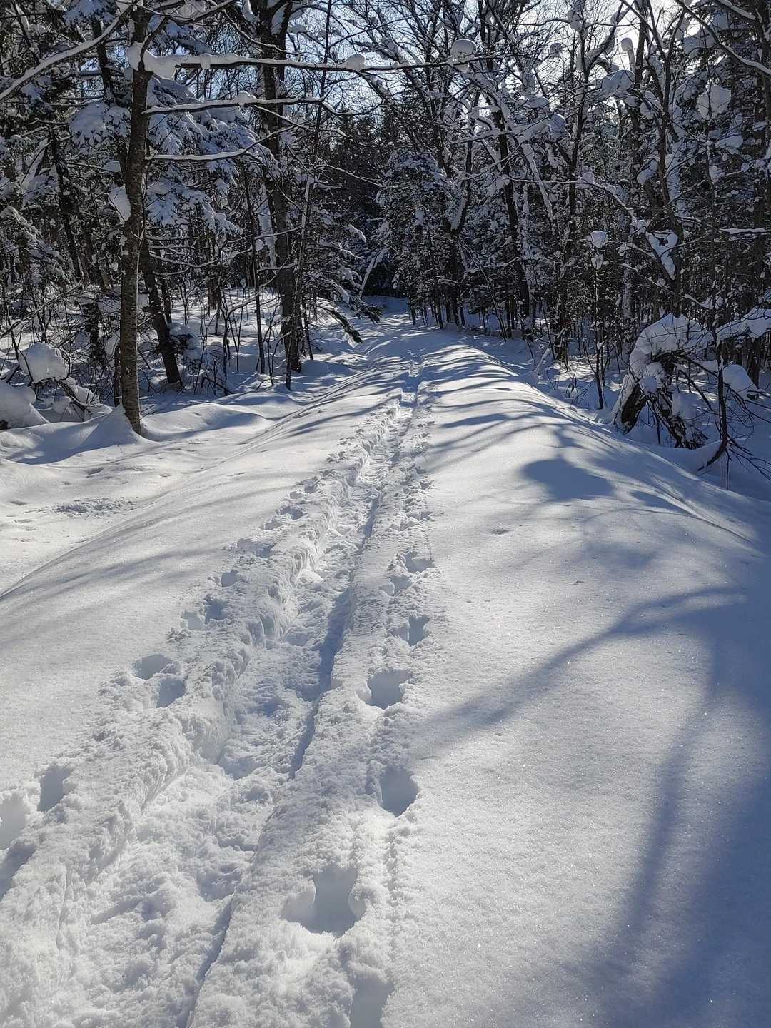 ご立派トレースありまっせ😁
ぜひぜひ乗ってくだせぇ～💕