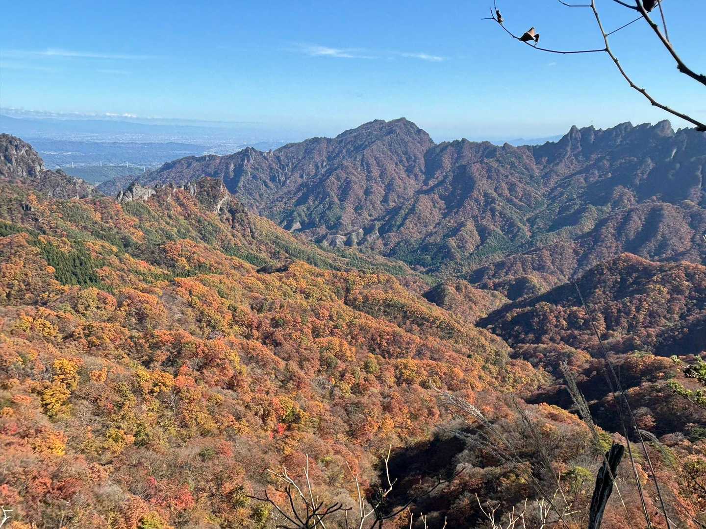 谷急山 周回コースの写真