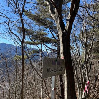 ここにも後ろに🗻がいるピークを過ぎて峠に向かう