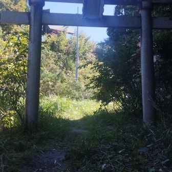 日野山頂上側の日野神社鳥居