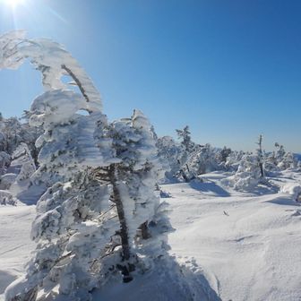 風が強い場所だろうけど、今日は無風です