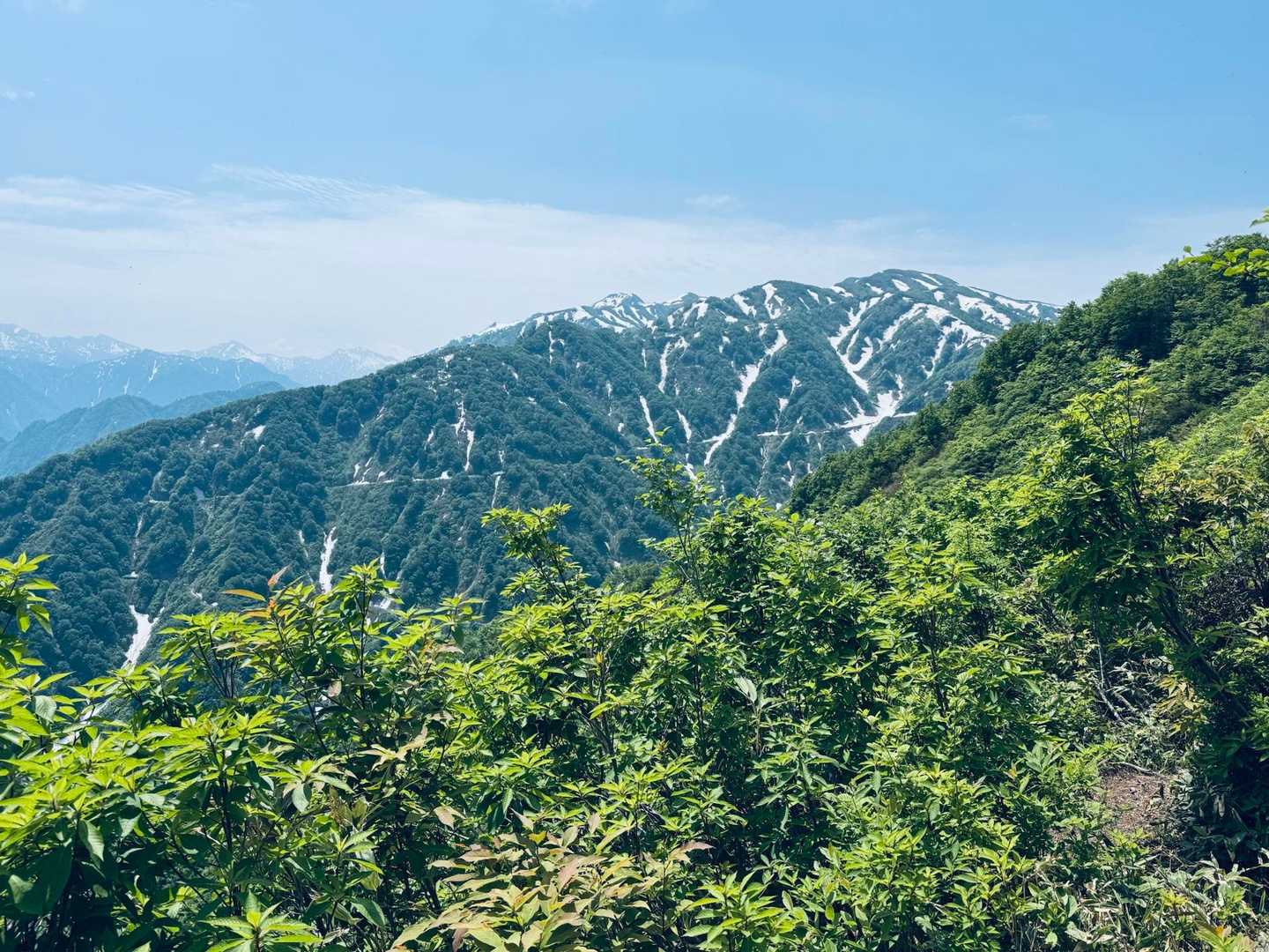 僧ヶ岳の宇奈月尾根。第三から登ると、あの尾根をひたすら上がっていくことになります。