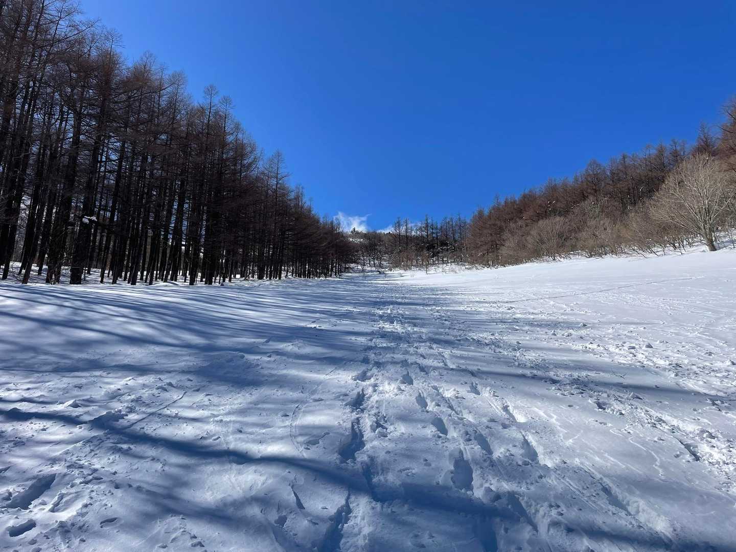 リフト下から真っ直ぐのトレースが多数有り
行ってみましょー