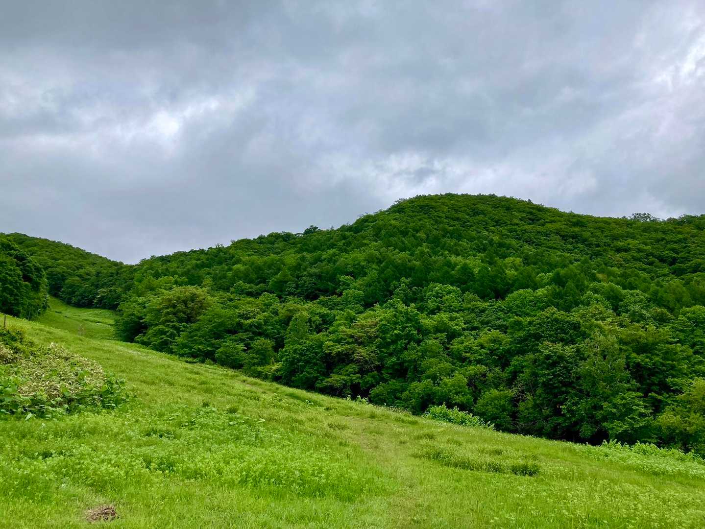 　このまま下山するのも、物足りないな‼️
　　　あの『山鼻山』に登るかな。