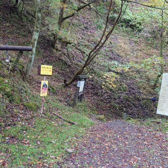 内山登山口、来たの３回目です！
佐久市内は曇りでも前2回とも登山口は☔😫
今回も最初小雨でしたが出発😁❗