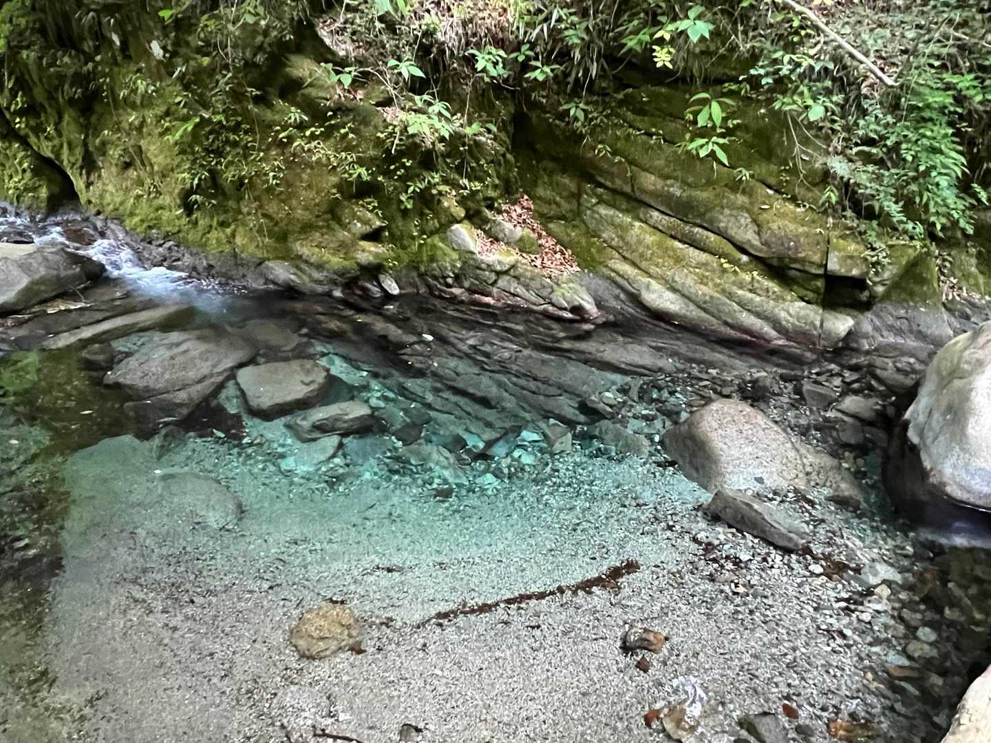 水の色がブルーでとても綺麗！