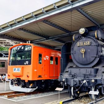 青梅駅から15分登って、鉄道公園へ＼(^o^)／
展示の新幹線の車内は涼しく快適でした♪
ああ…この青梅快速でこのまま帰りたい、、、